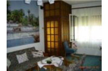 Унгария Privát Gyula, Екстериор